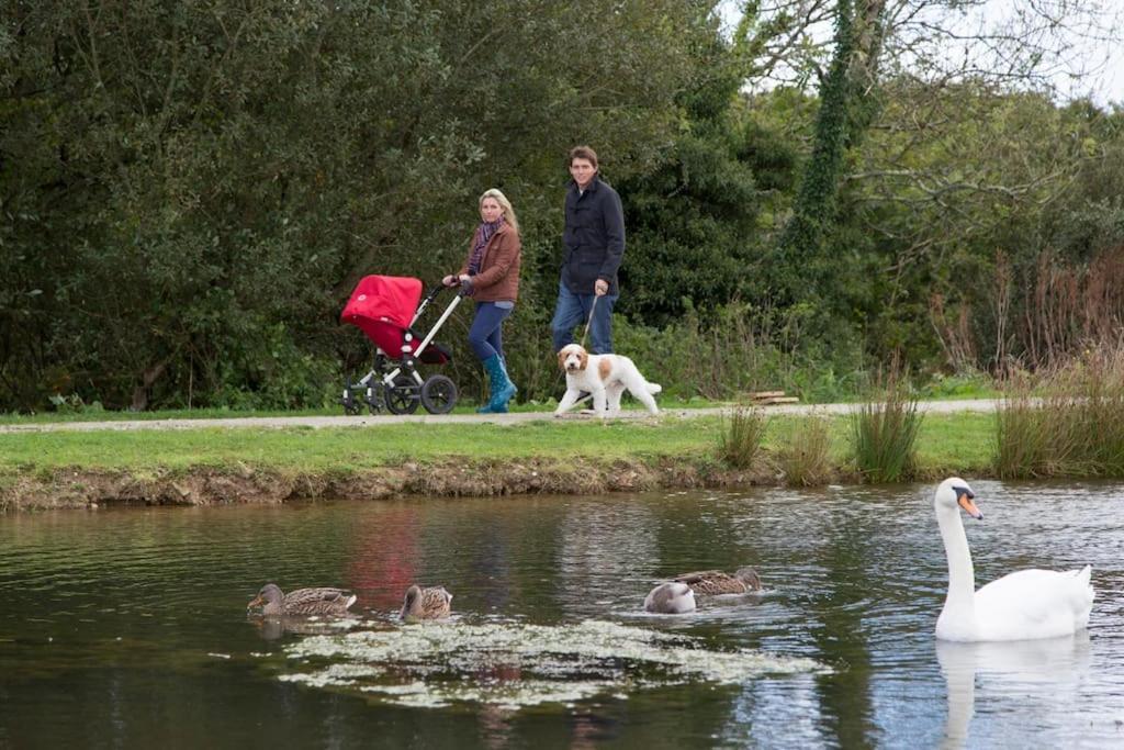Skylark Sleeps 8 Private Hot Tub & Dogs Welcome Nr Padstow, Resort Pool Bar & Watersports St Columb Major Extérieur photo